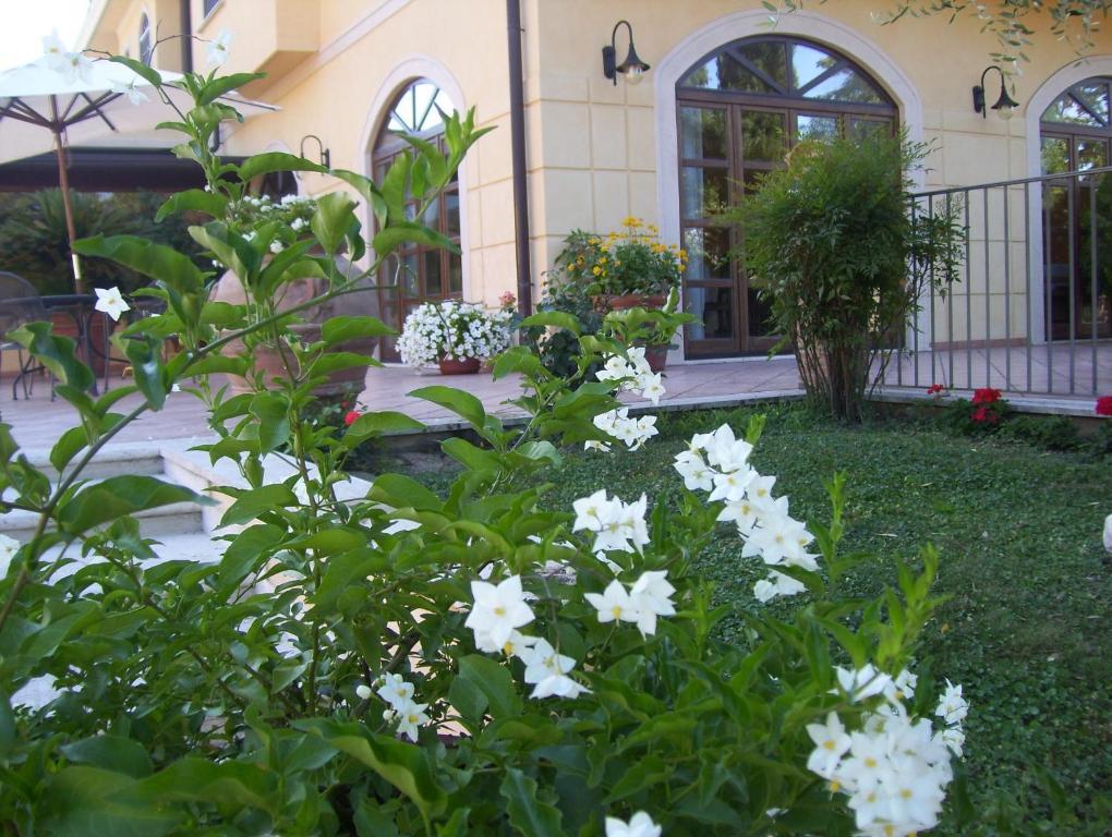 Hotel Del Sole Сора Экстерьер фото